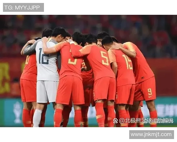 大陆足球明星队的荣耀与梦想共同追逐的精彩旅程